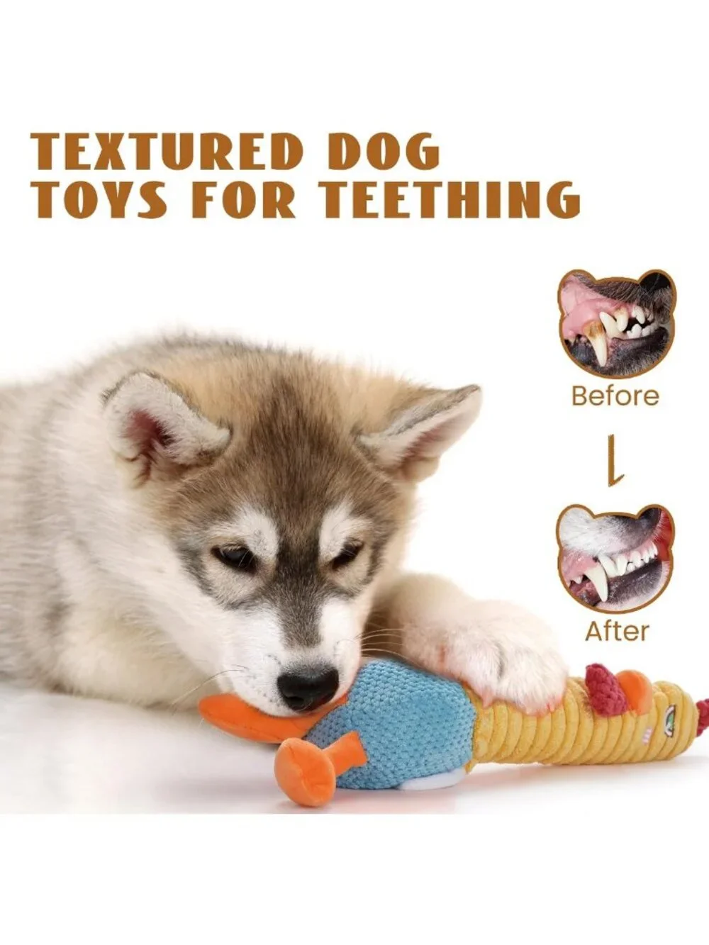 N/A even chewing withstand